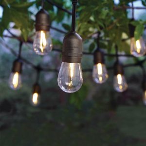 Lighteme 24 Ft. Waterproof LED String Light. 12 bulbs Plug-In