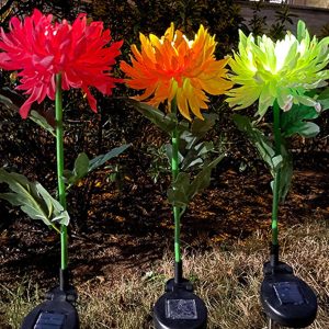 Lighteme Solar LED Light Artificial Chrysanthemum Flower (3 Pack)