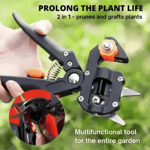 Lighteme Grafting with precision for a blooming garden