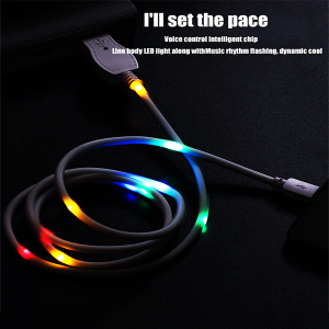 Lighteme Voice Control Data Cable (2 colors)