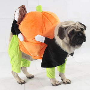 Lighteme Pet Halloween costumes (5 sizes)