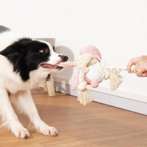 Lighteme Animal Shape Squeak Sound Dog Toy (6 colors)