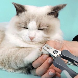 Lighteme Cat Dog Delicate Nail Clipper (3 colors)