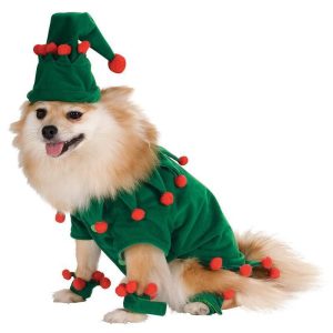 Lighteme Cosplay Elves Dog Funny Gold Velvet Coat