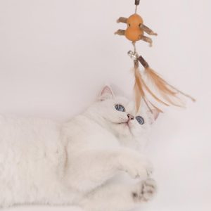 Lighteme Crude Wood Interactive Cat Tease Stick (6 Types)