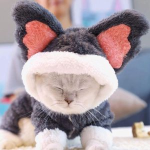 Lighteme Lovely Koala Cosplay Costume For Cat (4 colors)