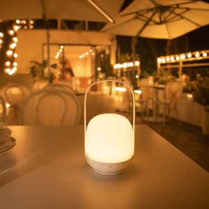 Lighteme Multipurpose Colorful Night Light