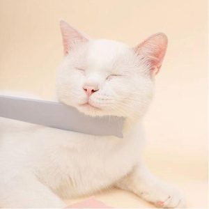 Lighteme Simulation Tongue Daily Hair Care Massage Comb (2 colors)