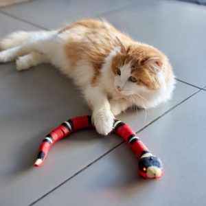 Lighteme Smart Snake toy for your cats